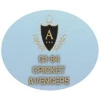 G1-84 Cricket Avengers Logo